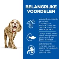 Hill's Science Plan - Small & Mini Senior Dog -Bekend Hondenspullen Winkel hills science plan senior small miniature 218437 0500 none
