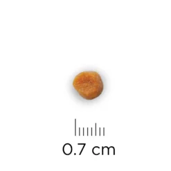 Phytonics L-Lysine Comp -Bekend Hondenspullen Winkel hills yd thyroid care prescription diet feline 147521 1000 none