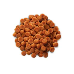 Phytonics L-Lysine Comp -Bekend Hondenspullen Winkel hills yd thyroid care prescription diet feline 147524 1000 none