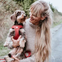 Hunter Harness Love 21 Hunter Harness Love -Bekend Hondenspullen Winkel hunter harness love 223529 0500 none