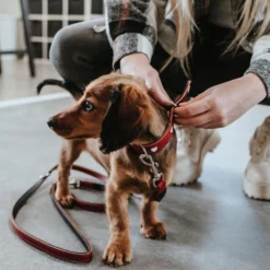 Hunter Training Line Love -Bekend Hondenspullen Winkel hunter training line love 223477 1000 none