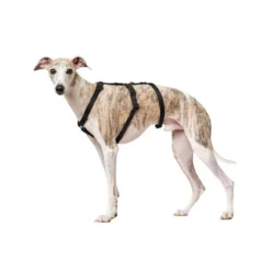 Hunter Vario Rapid Veiligheidsharnas 22 Hunter Vario Rapid Veiligheidsharnas -Bekend Hondenspullen Winkel hunter vario rapid veiligheidsharnas zwart 169501 0500 none