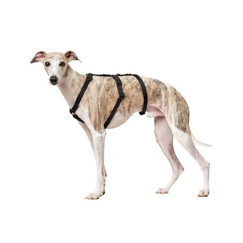 Hunter Vario Rapid Veiligheidsharnas 9 Hunter Vario Rapid Veiligheidsharnas - Afbeelding 9