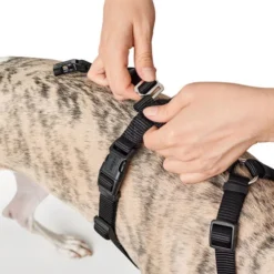 Hunter Vario Rapid Veiligheidsharnas 24 Hunter Vario Rapid Veiligheidsharnas -Bekend Hondenspullen Winkel hunter vario rapid veiligheidsharnas zwart 169504 0500 none