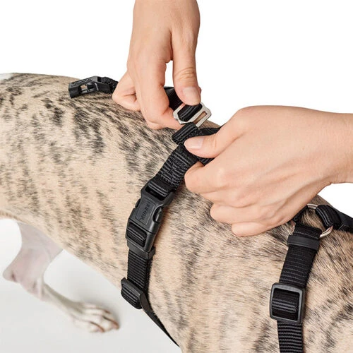 Hunter Vario Rapid Veiligheidsharnas 11 Hunter Vario Rapid Veiligheidsharnas - Afbeelding 11