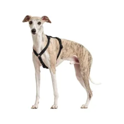 Hunter Vario Rapid Veiligheidsharnas 23 Hunter Vario Rapid Veiligheidsharnas -Bekend Hondenspullen Winkel hunter vario rapid veiligheidsharnas zwart 169507 0500 none