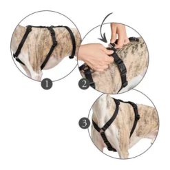 Hunter Vario Rapid Veiligheidsharnas 25 Hunter Vario Rapid Veiligheidsharnas -Bekend Hondenspullen Winkel hunter vario rapid veiligheidsharnas zwart 169510 0500 none