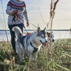 Hurtta - Weekend Warrior Winter Harnas - Bilberry -Bekend Hondenspullen Winkel hurtta weekend warrior winter harnas bilberry 216605 1500 none