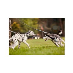 Hurtta Razzle Dazzle Y-Harness - Hedge -Bekend Hondenspullen Winkel hurtta razzle dazzle harness hedge 185245 2000 none