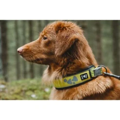 Hurtta Weekend Warrior Collar -Bekend Hondenspullen Winkel hurtta weekend warrior collar 189090 0500 none