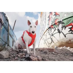 Hurtta Weekend Warrior Eco Harness -Bekend Hondenspullen Winkel hurtta weekend warrior eco harness 189132 0500 none