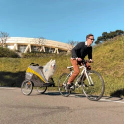 InnoPet Buggy Hercules 11 InnoPet Buggy Hercules -Bekend Hondenspullen Winkel innopet buggy hercules 196502 2000 none