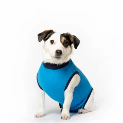 Jacketz Medical Body Suit Hond -Bekend Hondenspullen Winkel jacketz medical body suit hond m blue 129589 2000 none
