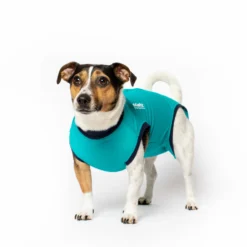 Jacketz Medical Body Suit Hond -Bekend Hondenspullen Winkel jacketz medical body suit hond xs aqua green 129577 2000 none