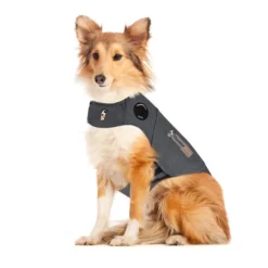 Thundershirt Hond 10 Thundershirt Hond -Bekend Hondenspullen Winkel jpbM91evrKZv3JzhxJfJF0FruqLREb metaVGh1bmRlcnNoaXJ0LmpwZw