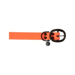 Kentucky Dogwear Soft Rubber Hondenhalsband -Bekend Hondenspullen Winkel k8mpMV5MxPf3u7yUzQ8Nxf5J44CyWl metaS2VudHVja3ktRG9nd2Vhci1Tb2Z0LVJ1YmJlci1Ib25kZW5oYWxzYmFuZC1vcmFuZ2UtZGV0YWlsLnBuZw