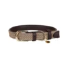 Kentucky Dogwear Nylon Hondenhalsband
