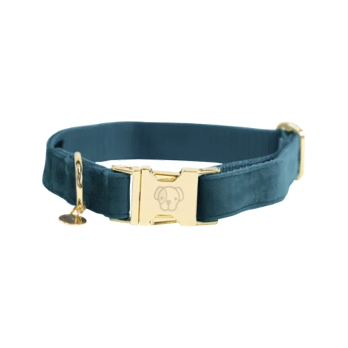 Kentucky Dogwear Velvet Hondenhalsband - Afbeelding 3