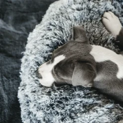 Kentucky Dogwear Comfort Donut Hondenmand -Bekend Hondenspullen Winkel kentucky dogwear comfort donut hondenmand 219723 0500 none