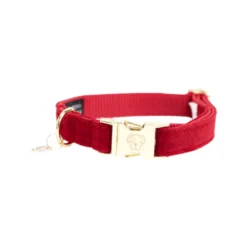 Kentucky Dogwear Corduroy Hondenhalsband -Bekend Hondenspullen Winkel kentucky dogwear corduroy hondenhalsband 219198 0500 none