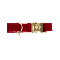 Kentucky Dogwear Corduroy Hondenhalsband -Bekend Hondenspullen Winkel kentucky dogwear corduroy hondenhalsband 219199 0500 none