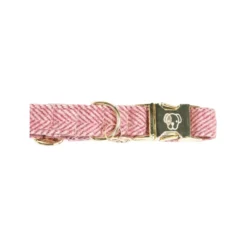 Kentucky Dogwear Hondenhalsband Wool -Bekend Hondenspullen Winkel kentucky dogwear hondenhalsband wool 219709 0500 none