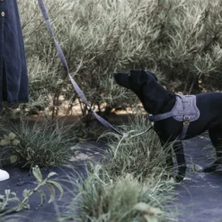 Kentucky Dogwear Hondenharnas Body Safe Wool -Bekend Hondenspullen Winkel kentucky dogwear hondenharnas body safe wool 219214 0500 none