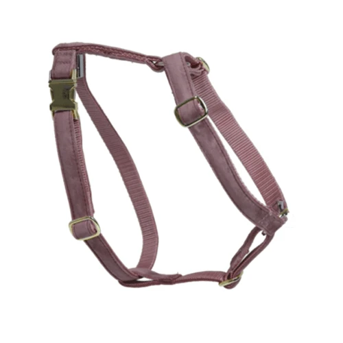 Kentucky Dogwear Hondenharnas Velvet Loop 15 Kentucky Dogwear Hondenharnas Velvet Loop - Afbeelding 15