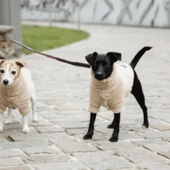 Kentucky Dogwear Hondenjas Teddy Fleece -Bekend Hondenspullen Winkel kentucky dogwear hondenjas teddy fleece 219186 0500 none