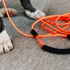 Kentucky Dogwear Sleeplijn Soft Rubber -Bekend Hondenspullen Winkel kentucky dogwear sleeplijn soft rubber 219203 0500 none