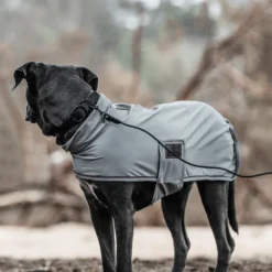 Kentucky Dogwear Soft Rubber Hondenhalsband -Bekend Hondenspullen Winkel kentucky dogwear soft rubber hondenhalsband 219265 0500 none