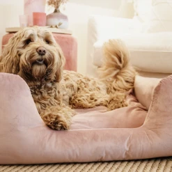 Kentucky Dogwear Velvet Hondenmand -Bekend Hondenspullen Winkel kentucky dogwear velvet hondenmand 219658 0500 none