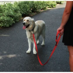 KONG Adjustable Leash -Bekend Hondenspullen Winkel kong adjustable leash zwart 176938 2000 none