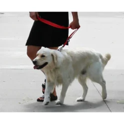 KONG Adjustable Leash -Bekend Hondenspullen Winkel kong adjustable leash zwart 176941 1000 none