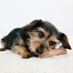 KONG ChewStix Ultra Stick -Bekend Hondenspullen Winkel kong chewstix ultra stick 180856 1000 none