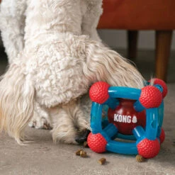 KONG Rewards Tinker 10 KONG Rewards Tinker -Bekend Hondenspullen Winkel kong rewards tinker 222345 1000 none