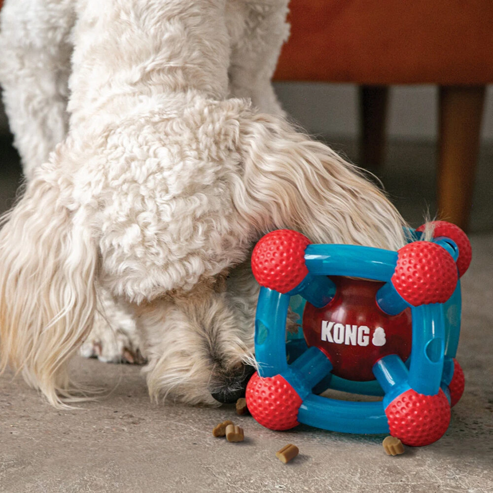 KONG Rewards Tinker 5 KONG Rewards Tinker - Afbeelding 5