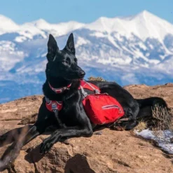 Kurgo Baxter Backpack -Bekend Hondenspullen Winkel kurgo baxter backpack 222793 0500 none