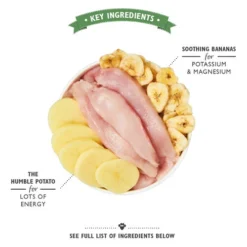 Lily's Kitchen Hondenvoer - Blik -Bekend Hondenspullen Winkel lilys kitchen hondenvoer blik 202352 0500 none