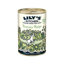 Lily's Kitchen Hondenvoer - Blik -Bekend Hondenspullen Winkel lilys kitchen hondenvoer blik 202370 0500 none