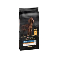 Purina Pro Plan Dog Adult - Large Breed -Bekend Hondenspullen Winkel mEUrge4fHIxg27cctEiORoYG7pxqY2 metaUHVyaW5hLVByby1QbGFuLUxhcmdlLUF0aGxldGljLUV2ZXJ5ZGF5LU51dHJpdGlvbi5qcGc