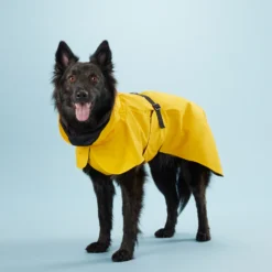 PAIKKA Visibility Raincoat Lite Yellow -Bekend Hondenspullen Winkel mW2Bw3791R8VnpD5P3PKMJkiXIFNZn metaUGFpa2thLVZpc2liaWxpdHktUmFpbmNvYXQtTGl0ZS1ZZWxsb3c0LmpwZw