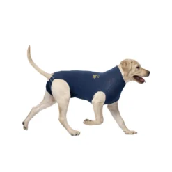 Medical Pet Shirt Hond -Bekend Hondenspullen Winkel medical pet shirt hond 167413 1000 none