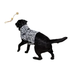 Medical Pet Top Shirt - Zebraprint -Bekend Hondenspullen Winkel medical pet top shirt zebraprint 150701 1000 none