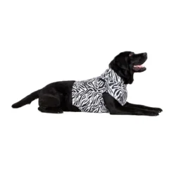 Medical Pet Top Shirt - Zebraprint -Bekend Hondenspullen Winkel medical pet top shirt zebraprint 150704 1000 none
