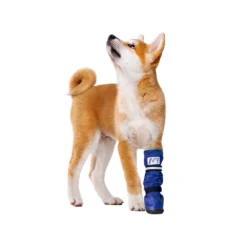 Medical Pet Shirt Boot -Bekend Hondenspullen Winkel medical pets boot 167479 1000 none