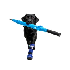 Medical Pet Shirt Boot -Bekend Hondenspullen Winkel medical pets boot 167482 1000 none