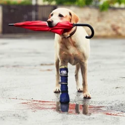 Medical Pet Shirt Boot -Bekend Hondenspullen Winkel medical pets boot 167512 0500 none