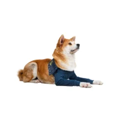 MPS-TAZ2 Voorpootmouwtjes -Bekend Hondenspullen Winkel mps taz2 voorpootmouwtjes 167446 1000 none