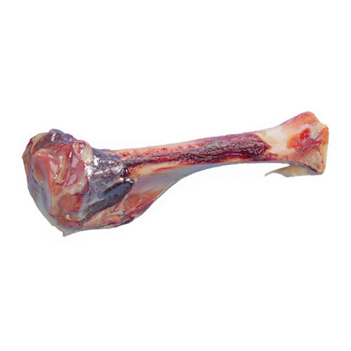 Nobby Parmabeen 9 Nobby Parmabeen - Afbeelding 9